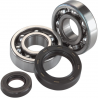 KIT RODAMIENTOS + RETENES CIGUEÑAL 250 c.c. 2T