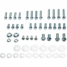 PACK TORNILLOS 52 UNIDADES